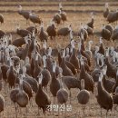 두루미사진관 이미지