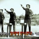 안수산 스포츠경향