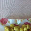 세주농장 이미지