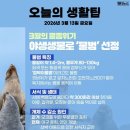 3월의 멸종위기 야생생물로 ‘물범’ 선정 이미지