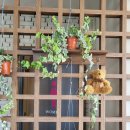 진남로 | [부산 전포 카페] 전포 감성 가득, 숲뷰 '리투커피바 인 전포숲' 주말 방문후기