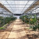 경안천로 이미지