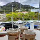 석화꽃무지풀무지유치원 이미지