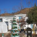 봉평별빛 이미지