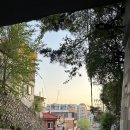 비아세라 네이버블로그