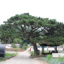 사천리경로당 티스토리