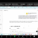 와이즈라이온