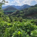 포항시북구29 이미지