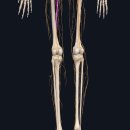 마디마디신경외과의원 이미지