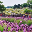 동산푸드