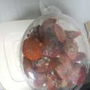엠에스리테일 | 춘천 MS마트 : 홍가리비 찜 후기 _ 넘나 맛난것