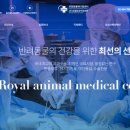 헬씨독