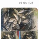 성호좌대 이미지