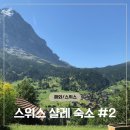 2137 | 앨리스 할머니 샬레 아이거북벽뷰 2137룸 후기 | 스위스 그린델발트 숙소 추천 [스위스 여행 #2]