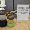 등촌샤브칼국수망우점