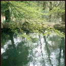 금강(부산) 이미지