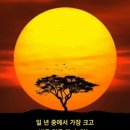 메트로타워2 이미지
