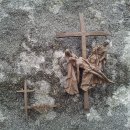 요셉목장 이미지