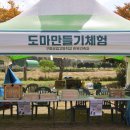 영암군 달빛축제 | 영암 한옥문화 비엔날레 꿀팁 관람 체험 후기
