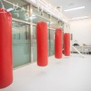 플렉스 복싱 킥복싱 이미지