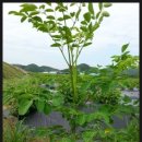 신가네농장 이미지