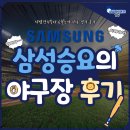 네오클㈜ | 시범경기부터 6월초까지의 승률 100% 삼성승요가 말아주는 야구 직관 경기 후기