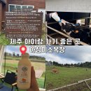 '미소'유기한우목장 | [제주] 입장료 무료! 아이와 함께 젖소우유주기체험을 할 수 있는 아침미소목장 후기