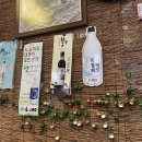 빈대떡양과막걸리군