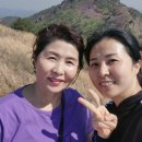남해사 이미지