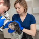 경주동물병원 이미지