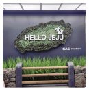 제주돔베고기집 | 제주도에서 놓치지 말아야 할 맛! 제주맛집 제주돔베고기집 후기