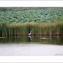 만석공원 이미지