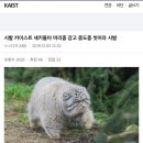 G1헤어
