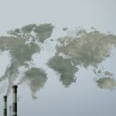 유기농라이프 이미지