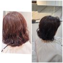 회원동247 | 마산 교방동미용실.마산 회원동미용실.마산 vip헤어