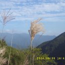 절터골1 이미지