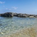 올래오늘또 이미지