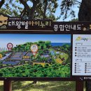 대왕암공원4(대왕별아이누리 외부) | [울산] 울산 아이와 가볼만한곳 키즈카페 공원 대왕별 아이누리