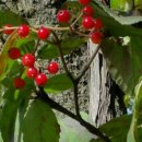 평산농원 이미지