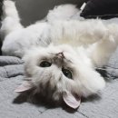 두꺼비세차 이미지