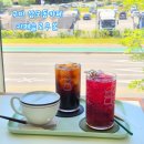 슬로우온 | [구미]상모동 반려동물 동반 가능한 카페슬로우온 내돈내산 솔직후기|구미 과일산도 맛집 추천