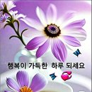 좋은날 네이버블로그
