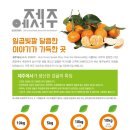 농업회사법인 마음이가 주식회사