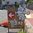개놀자까페 이미지
