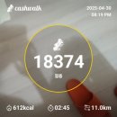 사월의국수 이미지