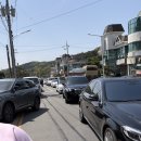 각원사길 | 천안 각원사 겹벚꽃 전국 벚꽃 명소 주차 인생샷 보장 봄 여행지 추천