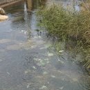 동강공인중개사사무소 이미지