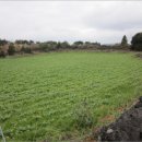 성읍보건진료소 이미지