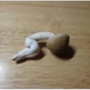 깎는여자