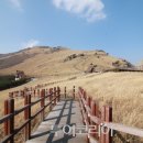 국립신불산자연휴양림 이미지